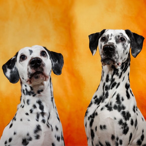 @clarkclark88 is live! 🙃 - Picture 3 of 7